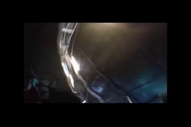 Así es el día a día entre tiburones