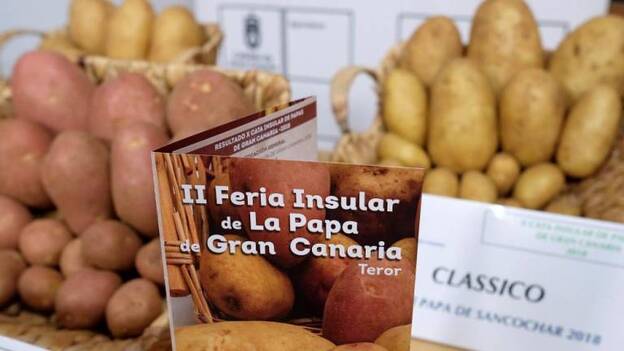La II Feria de la Papa buscará su ‘estrella’