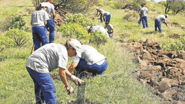 El Cabildo destinará 1,3 millones a la prevención de los incendios