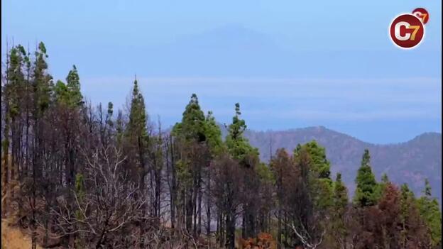 Las heridas siguen abiertas un año después