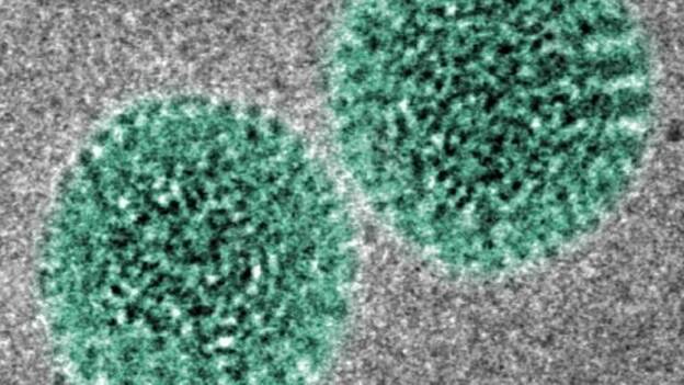 Rotavirus. Descubren las propiedades mecánicas del virus, claves en la infección
