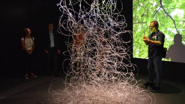 Cinco artistas invitan a sentir con la vista en ‘El dedo en el ojo’