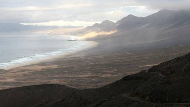 La foca monje vuelve en 2019