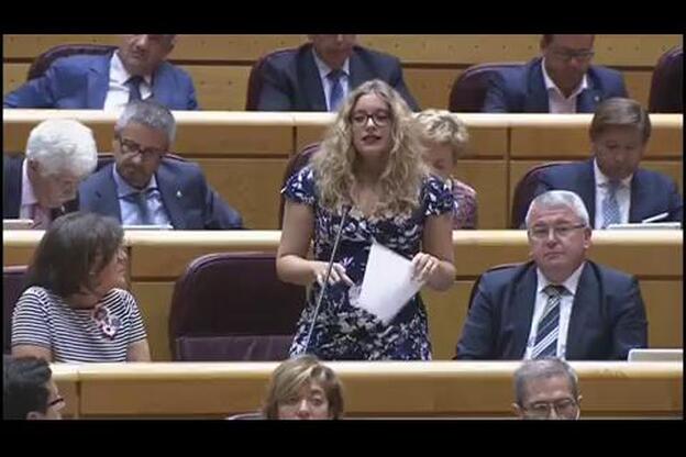 Delgado se defiende en el Senado entre gritos de «dimisión» del PP