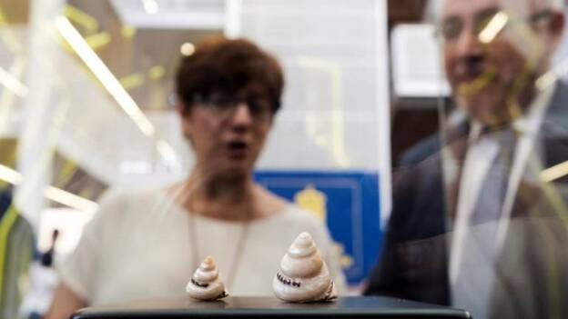 Aparecen en la Cueva Pintada de Gáldar caracolillos pulidos con una técnica única