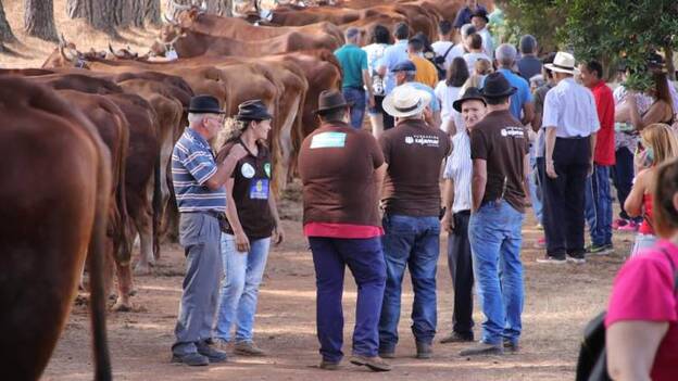 Día de tradiciones y juegos en la Laguna de Valleseco