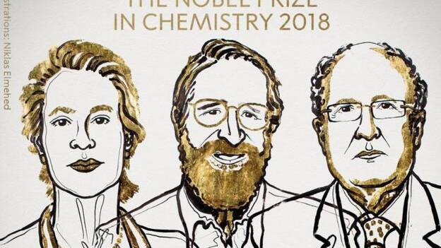 Arnold, Winter y Smith, Nobel de Química por desarrollo de proteínas