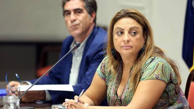 Gobierno, Fecam y Endesa acuerdan simplificar la solicitud de bono social