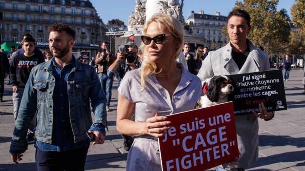 Pamela Anderson se encierra para denunciar la cría de animales en jaulas