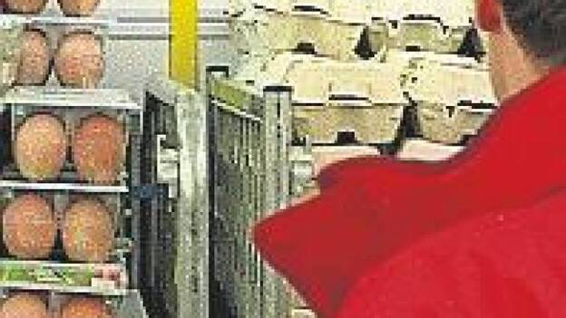 Comer un huevo al día es compatible con seguir un régimen saludable