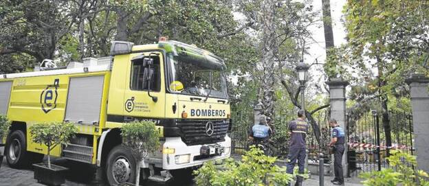 El Parque de Arucas, cerrado hasta valorar si hay que talar dos palmeras