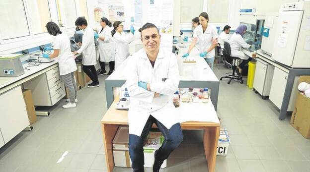 Las amebas que habitan entre nosotros