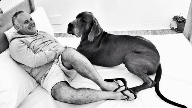 Llevan al colegio de veterinarios la muerte de Petra en una clínica