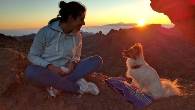 Fotografías contra el abandono de animales