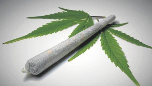 Entre san Canuto y la maría