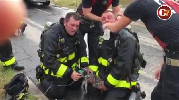 Unos bomberos salvan milagrosamente la vida de una gata