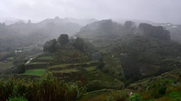 Las lluvias dan paso al mejor verde