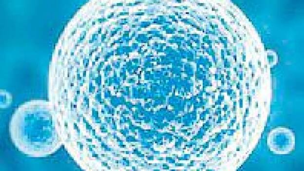 Hematología. Piden más financiación para impulsar la investigación de terapias CAR-T