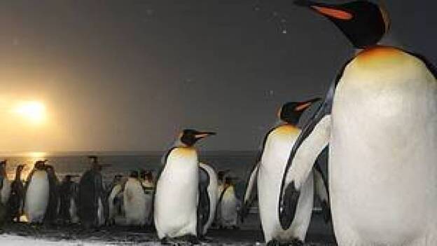 Netflix muestra las primeras imágenes de ‘Nuestro planeta’