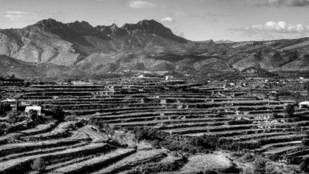 Expertos estudian en Las Palmas el aprovechamiento de Los Bancales