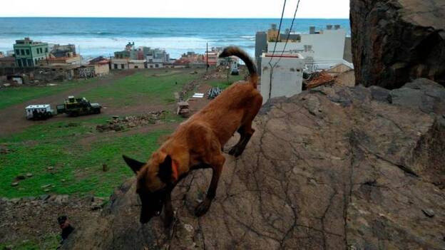 Segundo día de búsqueda de Juani Ramos