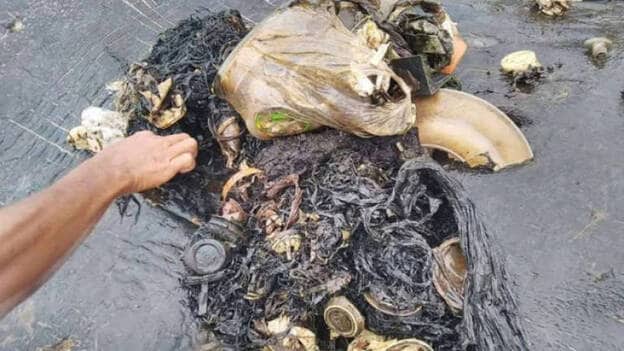 Hallan un cachalote muerto con 6 kilos de plástico en el estómago en Indonesia