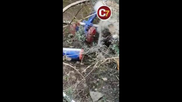 Envenenamiento masivo de animales en Tunte