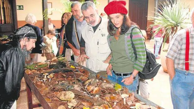 187 especies de hongos viven en 30 hectáreas de la Finca de Osorio