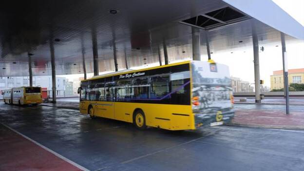 Guaguas activará cuatro nuevas líneas el próximo año en la ciudad