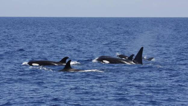 A la cabeza en contaminación química