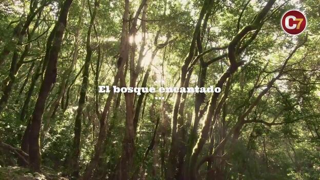 Canarias invita a descubrir sus siete 'maravillas' de naturaleza