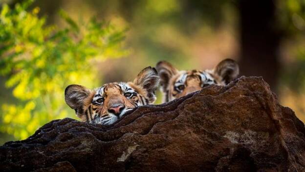 Lo mejor de la programación del día