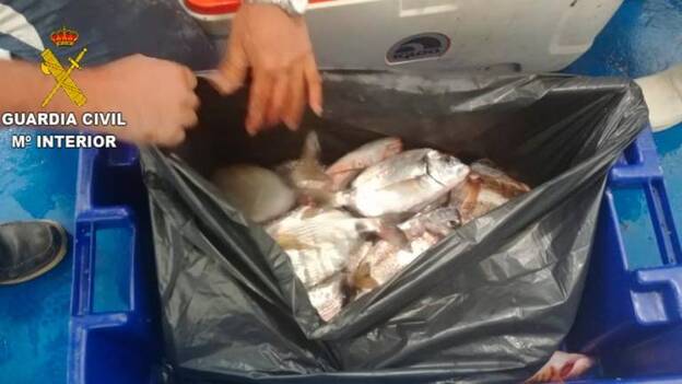 Denuncian a pescadores por excederse el peso de capturas