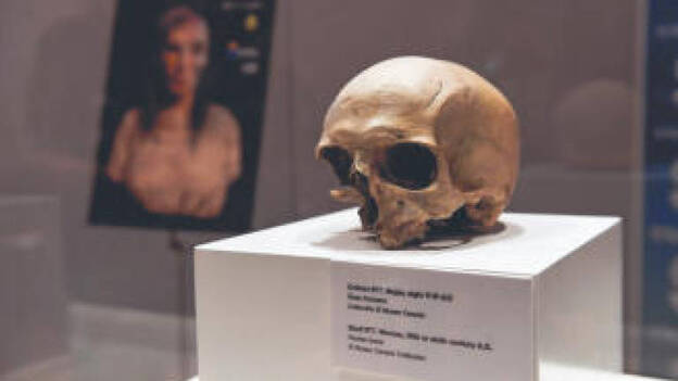 Cuatro apellidos canarios, un bisabuelo peninsular y otro africano