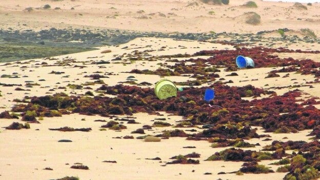 Los microplásticos llegan a la costa cargados con hasta 81 contaminantes