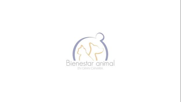 Pacto para acabar con el abandono animal