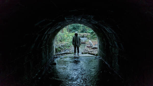 Lo mejor de la programación del día