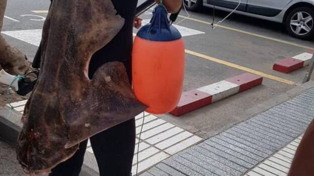 Identificado por pescar un angelote en Mogán