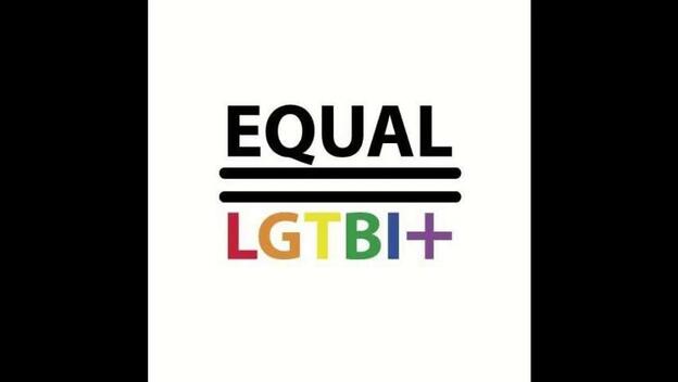 Protesta en el pleno contra la homofobia