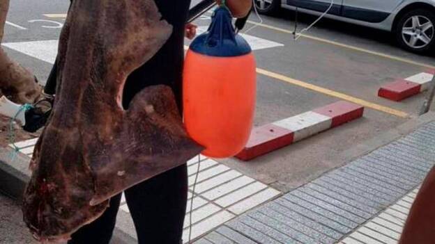 A disposición del juez por pescar un tiburón angelote en Mogán