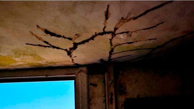 Erradicar las termitas de Tenerife costará 10 millones de euros