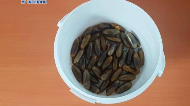 Tenía 45 bellotas de hachís en su estómago