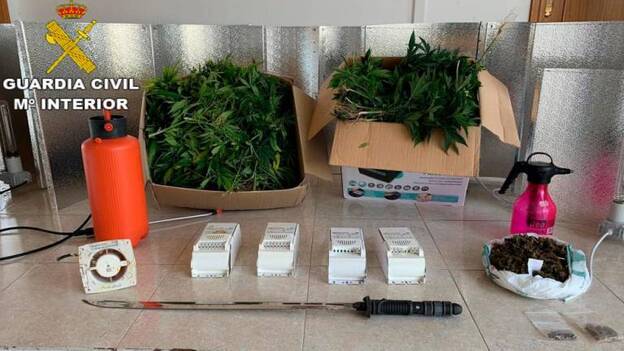 La Guardia Civil desmantela una plantación de marihuana en Lanzarote