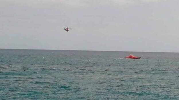 Avistan un cetáceo en La Garita