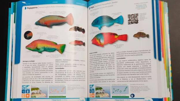 Más especies tropicales y de interés pesquero