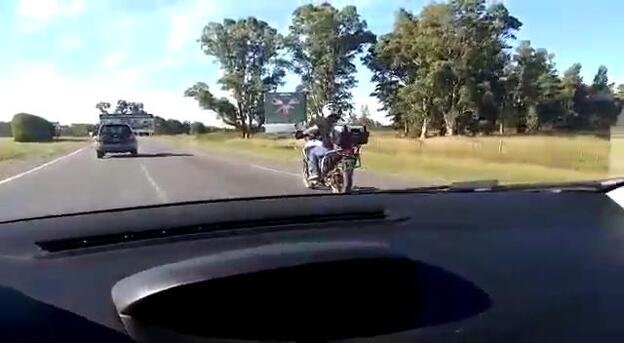 Pocho, el perro motero