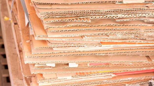 El sector papelero incentiva la economía