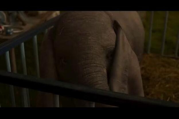 Colin Farrell presenta ‘Dumbo’