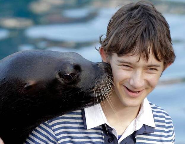 Más de la mitad de los alumnos con autismo sufre acoso escolar