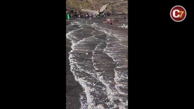 Los microplásticos invaden la costa de Arico